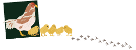 イチ押し LINKS!